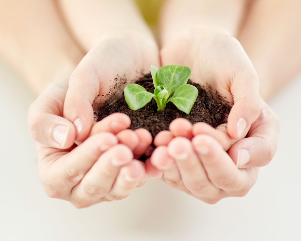 看護師/助産師歴20年以上の心理セラピスト関谷陽子が流産・中絶の罪悪感、子どもの不登校の悩みなど自分を責めてしまう女性の心をケアします｜Bright future. | すでにあった幸せに気づいた日