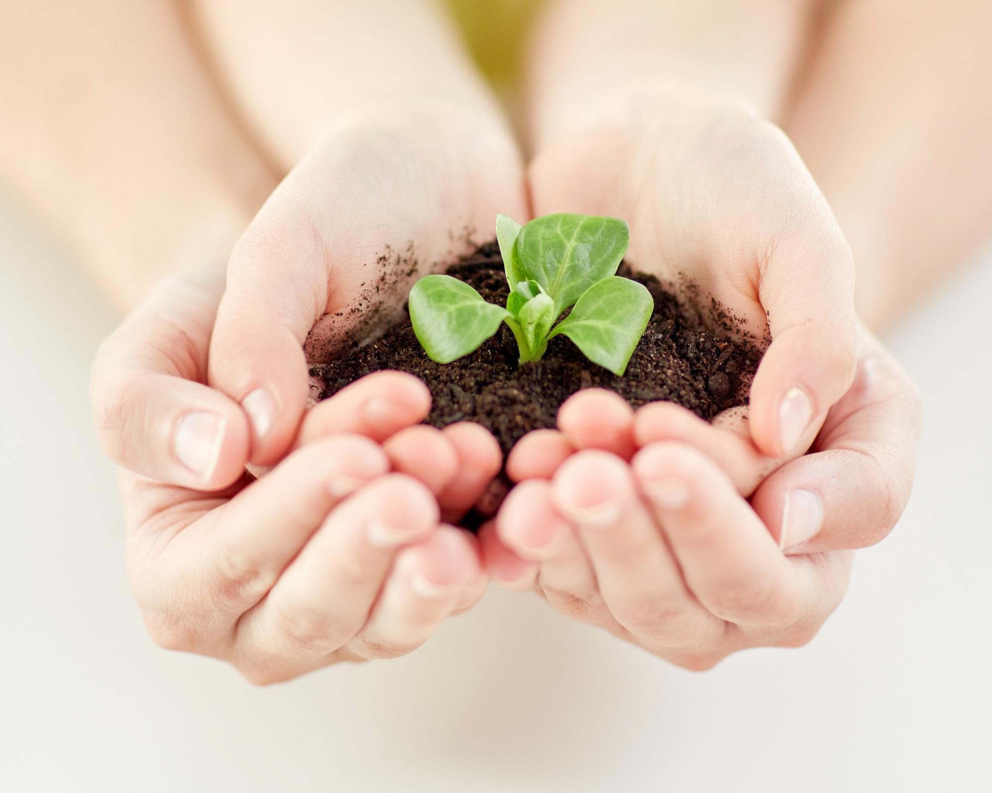 看護師/助産師歴20年以上の心理セラピスト関谷陽子が流産・中絶の罪悪感、子どもの不登校の悩みなど自分を責めてしまう女性の心をケアします｜Bright future. | すでにあった幸せに気づいた日