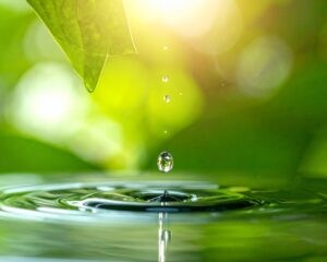 看護師/助産師歴20年以上の心理セラピスト関谷陽子が流産・中絶の罪悪感、子どもの不登校の悩みなど自分を責めてしまう女性の心をケアします｜Bright future. | FRONT